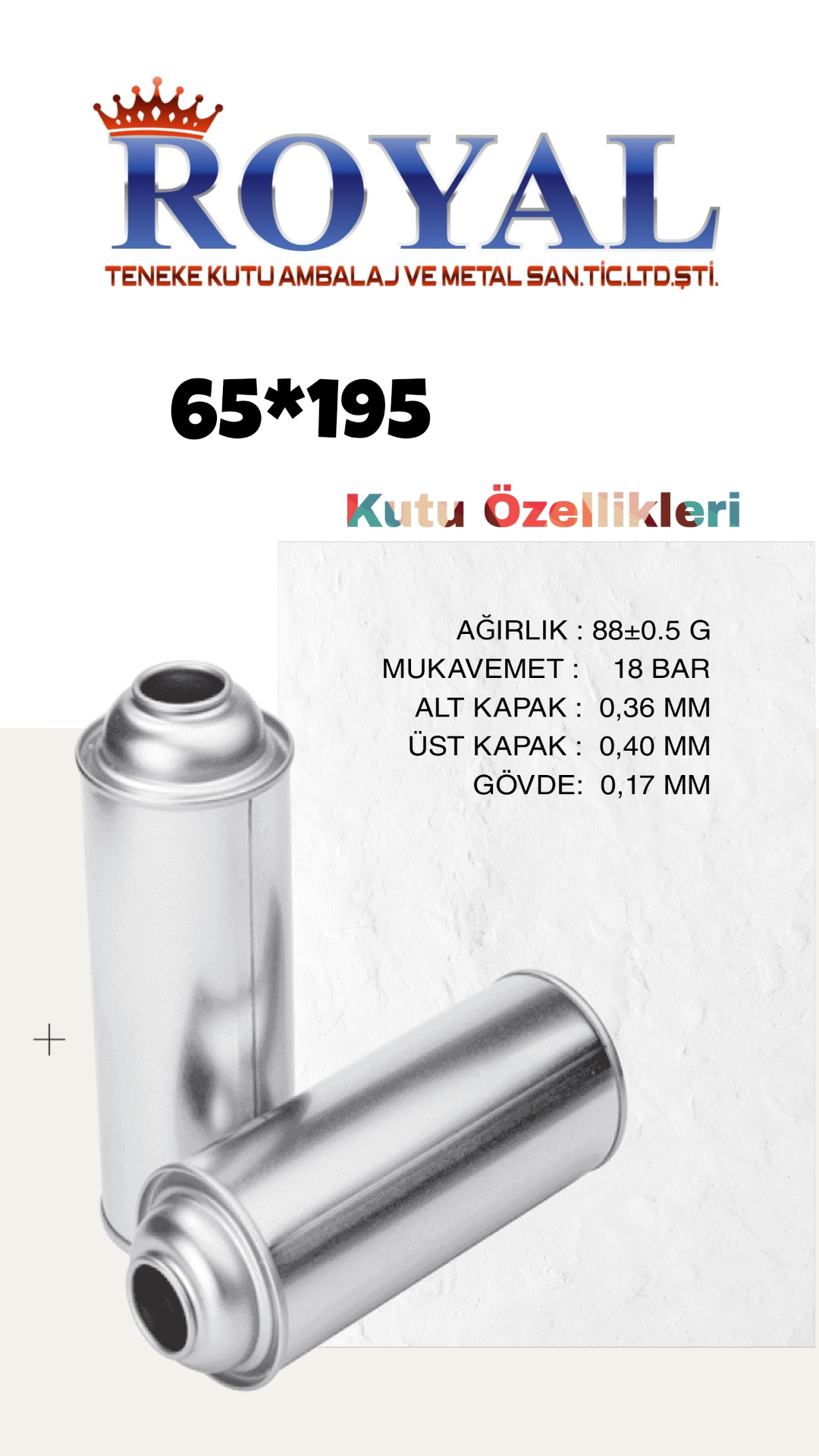 65*195 Aerosol Teneke Kutu 19 Bar